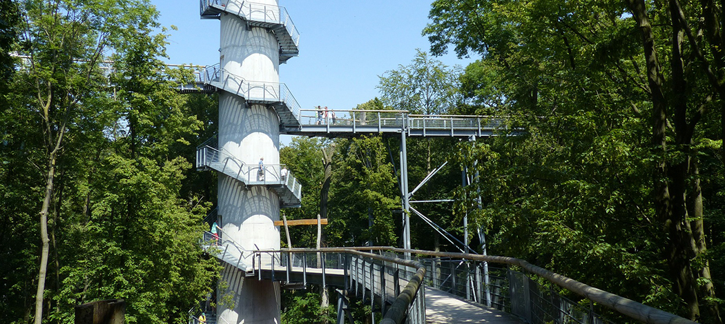 Baumwipfel